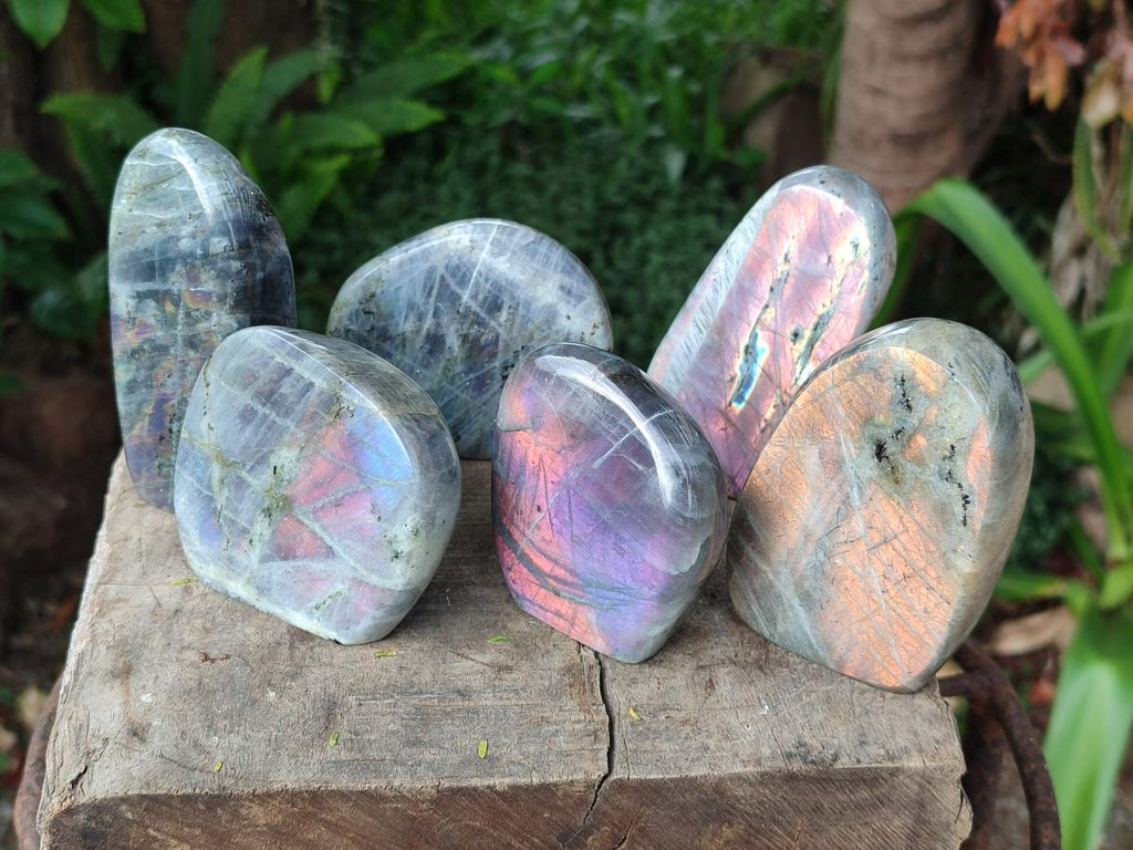 Polished Rare Purple Sunset Flash Labradorite Standing Display Pieces x 6 From Madagascar - Toprock Gemstones and Minerals 