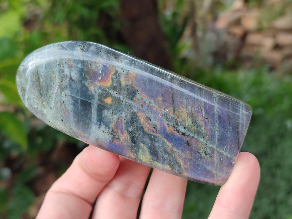 Polished Rare Purple Sunset Flash Labradorite Standing Display Pieces x 6 From Madagascar - Toprock Gemstones and Minerals 