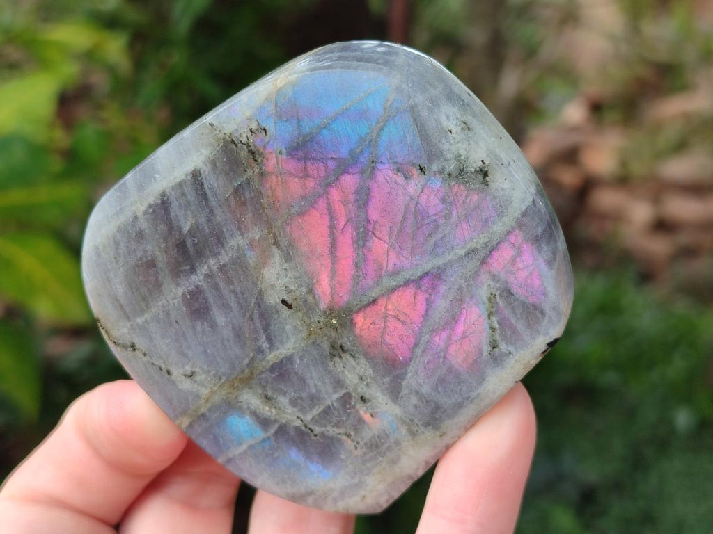 Polished Rare Purple Sunset Flash Labradorite Standing Display Pieces x 6 From Madagascar - Toprock Gemstones and Minerals 