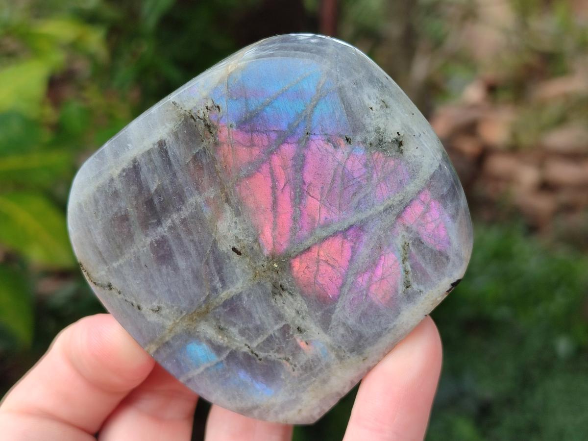 Polished Rare Purple Sunset Flash Labradorite Standing Display Pieces x 6 From Madagascar - Toprock Gemstones and Minerals 
