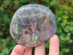 Polished Rare Purple Sunset Flash Labradorite Standing Display Pieces x 6 From Madagascar - Toprock Gemstones and Minerals 