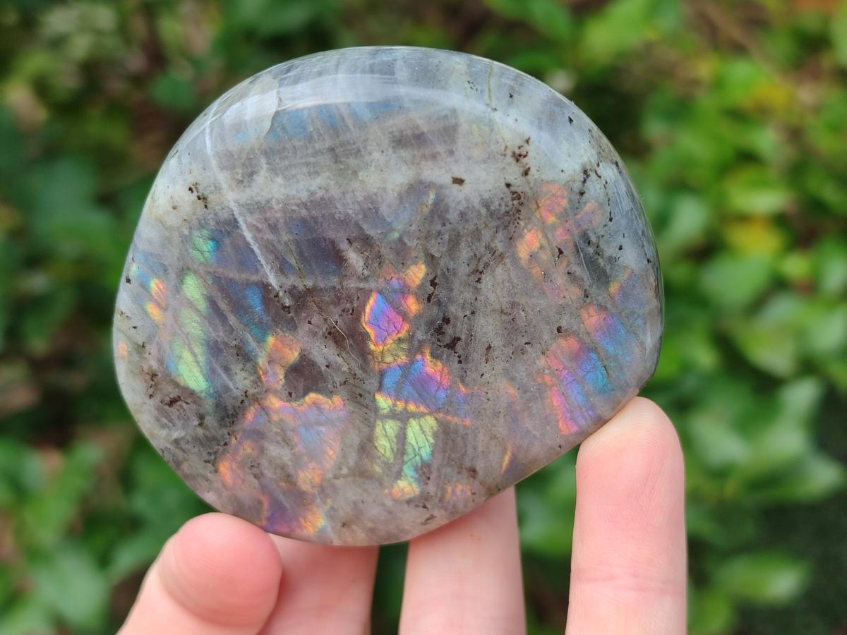 Polished Rare Purple Sunset Flash Labradorite Standing Display Pieces x 6 From Madagascar - Toprock Gemstones and Minerals 