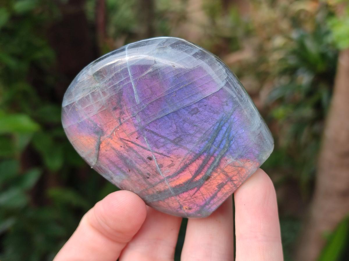 Polished Rare Purple Sunset Flash Labradorite Standing Display Pieces x 6 From Madagascar - Toprock Gemstones and Minerals 