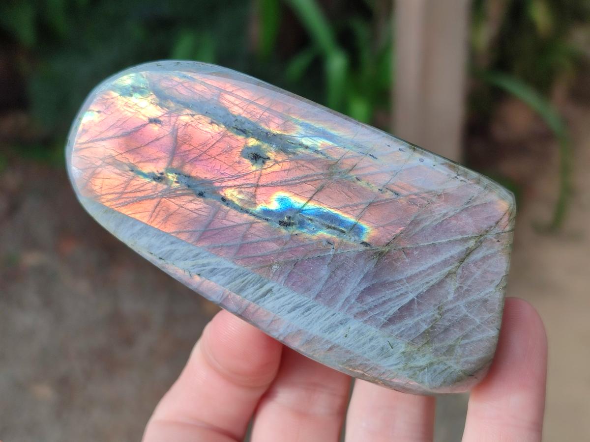 Polished Rare Purple Sunset Flash Labradorite Standing Display Pieces x 6 From Madagascar - Toprock Gemstones and Minerals 