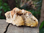 Natural Golden Limonite Quartz Crystal Clusters and Plates x 12 From Solwezi, Zambia - Toprock Gemstones and Minerals 