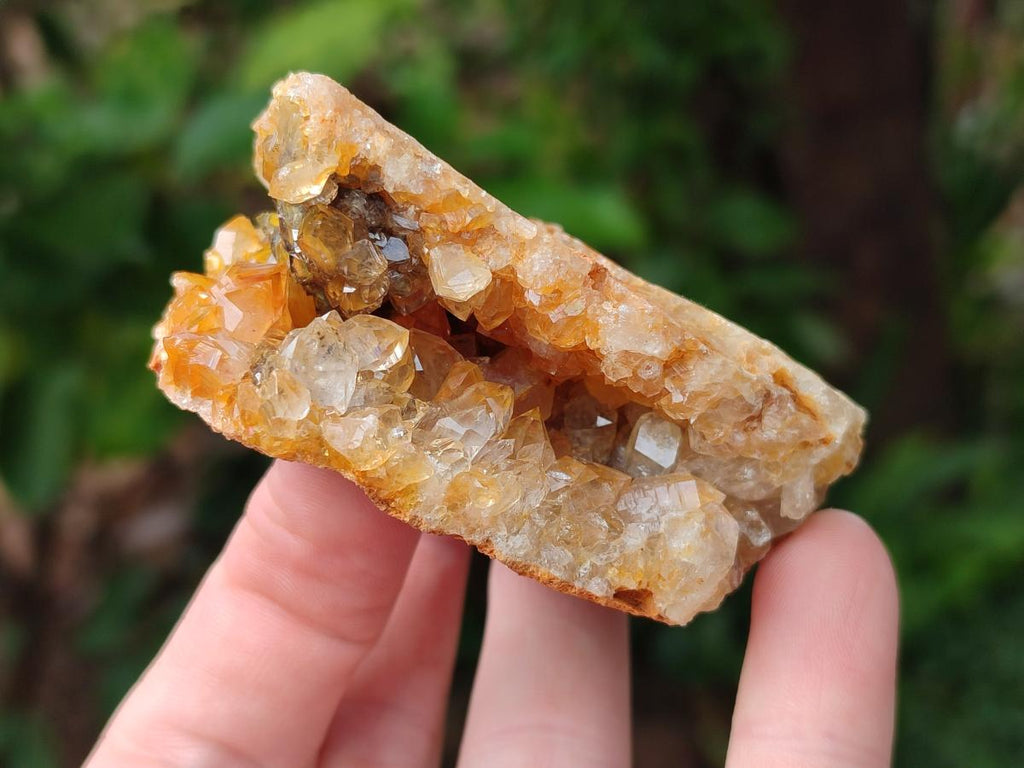 Natural Golden Limonite Quartz Crystal Clusters and Plates x 12 From Solwezi, Zambia - Toprock Gemstones and Minerals 