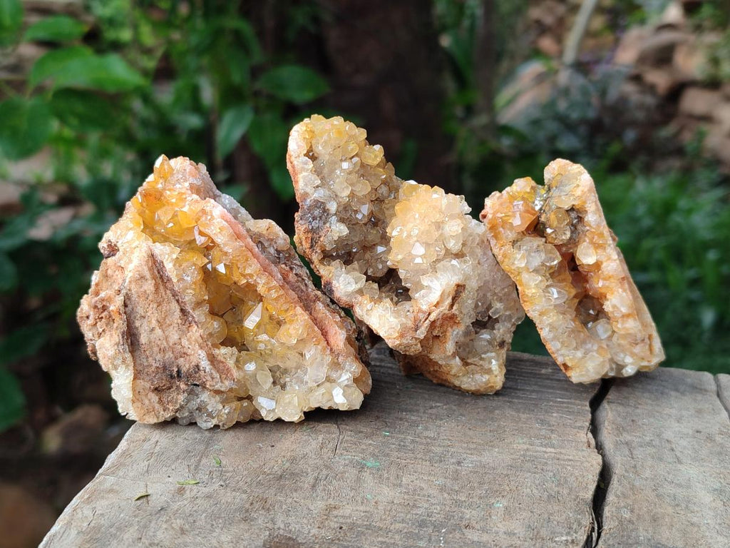 Natural Golden Limonite Quartz Crystal Clusters and Plates x 12 From Solwezi, Zambia - Toprock Gemstones and Minerals 