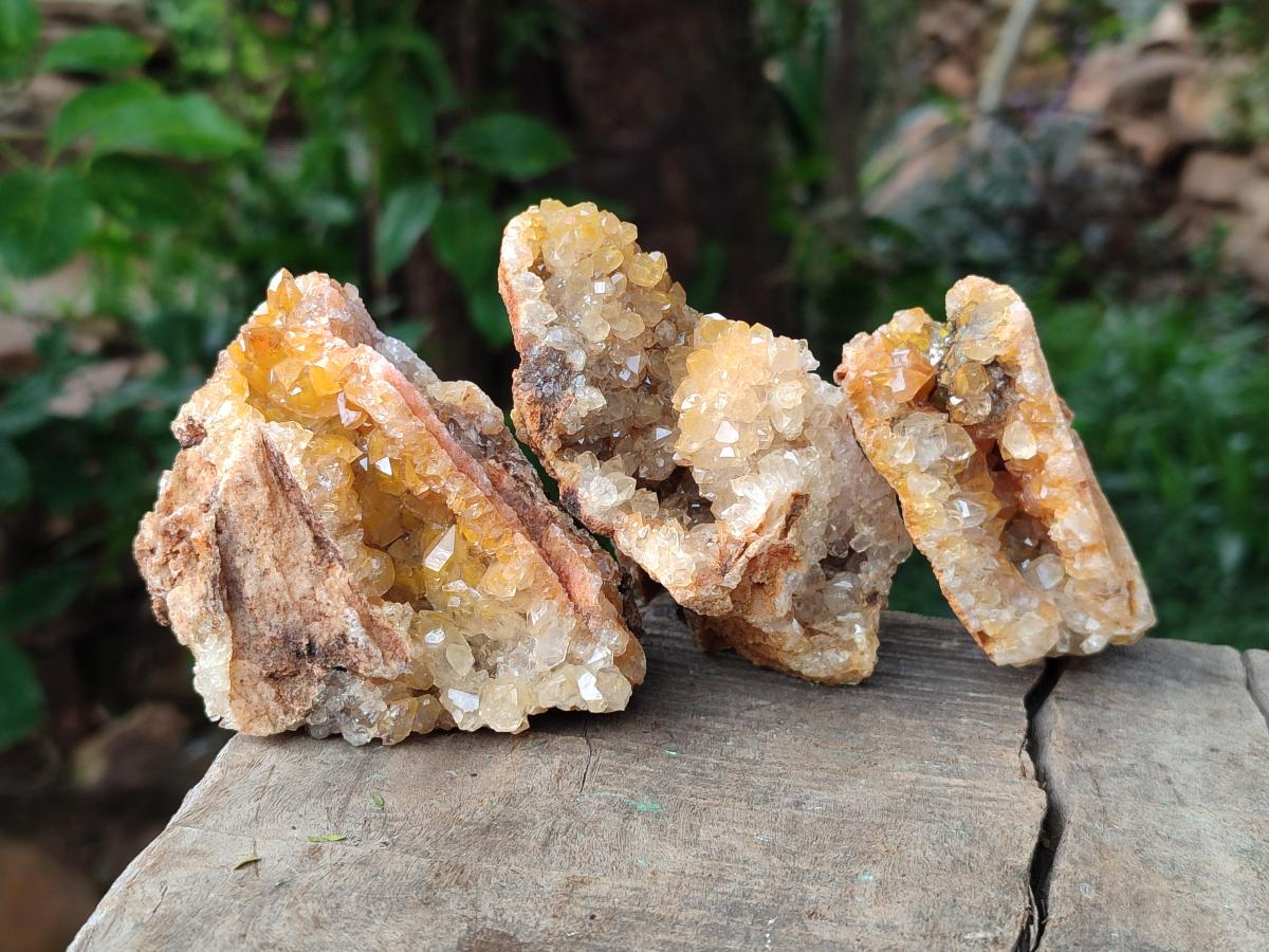 Natural Golden Limonite Quartz Crystal Clusters and Plates x 12 From Solwezi, Zambia - Toprock Gemstones and Minerals 