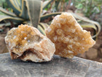 Natural Golden Limonite Quartz Crystal Clusters and Plates x 12 From Solwezi, Zambia - Toprock Gemstones and Minerals 