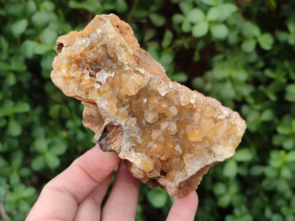 Natural Golden Limonite Quartz Crystal Clusters and Plates x 12 From Solwezi, Zambia - Toprock Gemstones and Minerals 