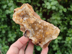 Natural Golden Limonite Quartz Crystal Clusters and Plates x 12 From Solwezi, Zambia - Toprock Gemstones and Minerals 
