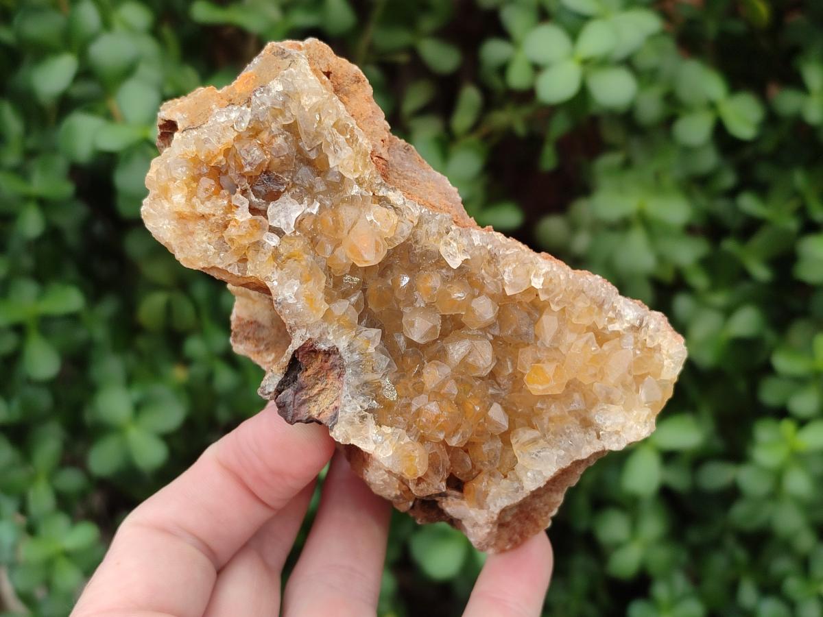 Natural Golden Limonite Quartz Crystal Clusters and Plates x 12 From Solwezi, Zambia - Toprock Gemstones and Minerals 