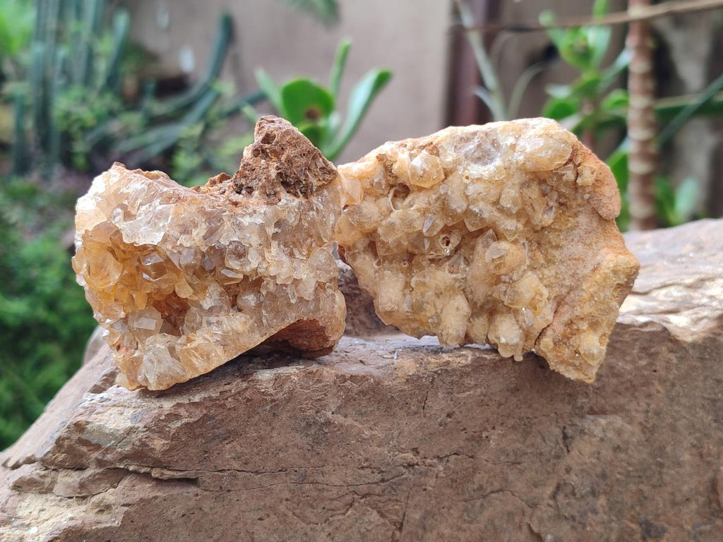 Natural Golden Limonite Quartz Crystal Clusters and Plates x 12 From Solwezi, Zambia - Toprock Gemstones and Minerals 