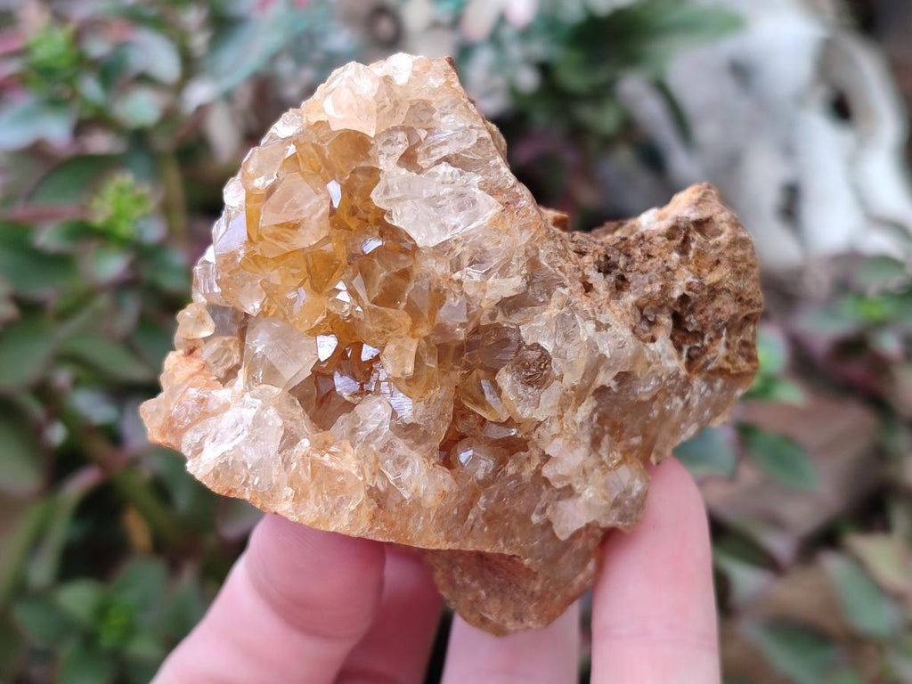 Natural Golden Limonite Quartz Crystal Clusters and Plates x 12 From Solwezi, Zambia - Toprock Gemstones and Minerals 