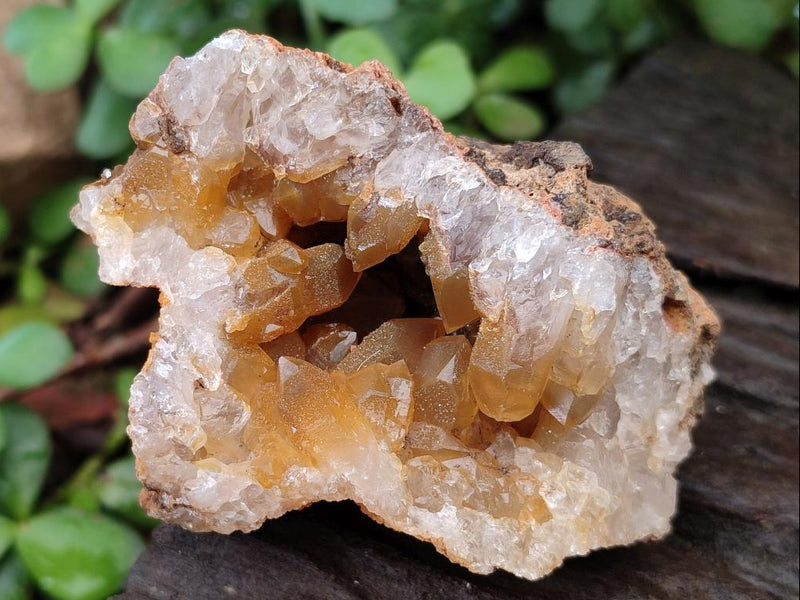 Natural Golden Limonite Quartz Crystal Clusters and Plates x 12 From Solwezi, Zambia - Toprock Gemstones and Minerals 