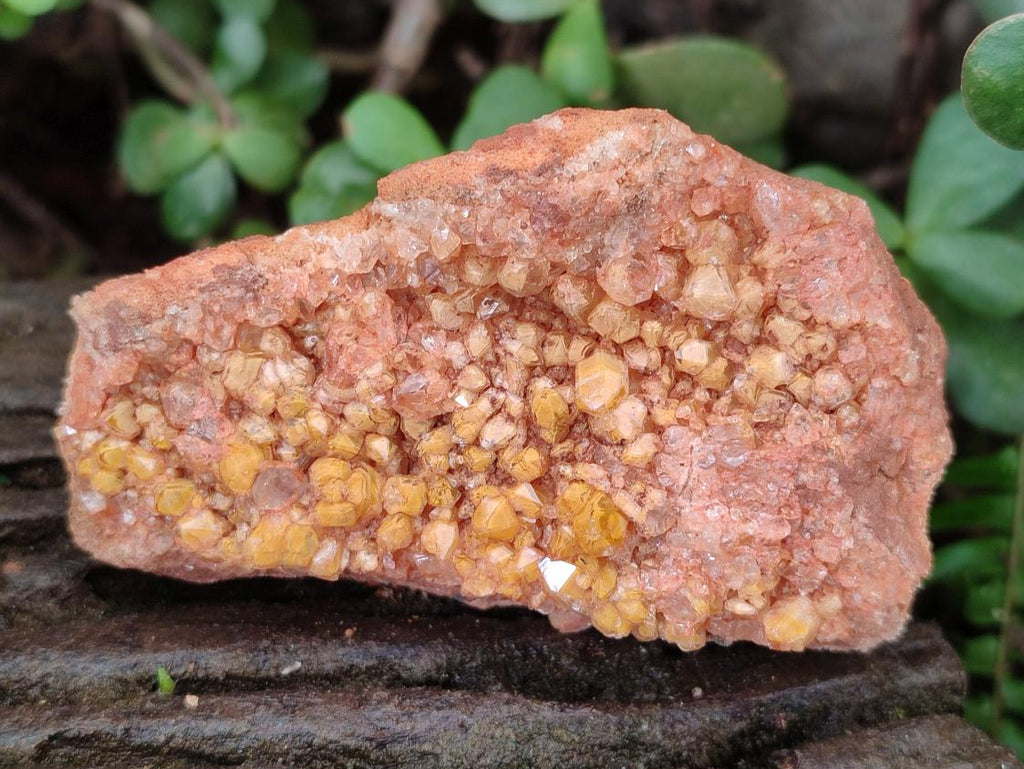 Natural Golden Limonite Quartz Crystal Clusters and Plates x 12 From Solwezi, Zambia - Toprock Gemstones and Minerals 