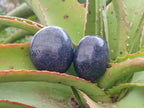 Polished Lazulite Palm Stones x 35 From Madagascar - Toprock Gemstones and Minerals 
