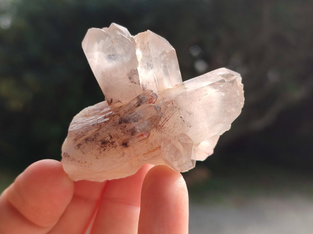Natural Red Hematoid Quartz Crystals and Clusters x 35 From Karoi, Zimbabwe - Toprock Gemstones and Minerals 