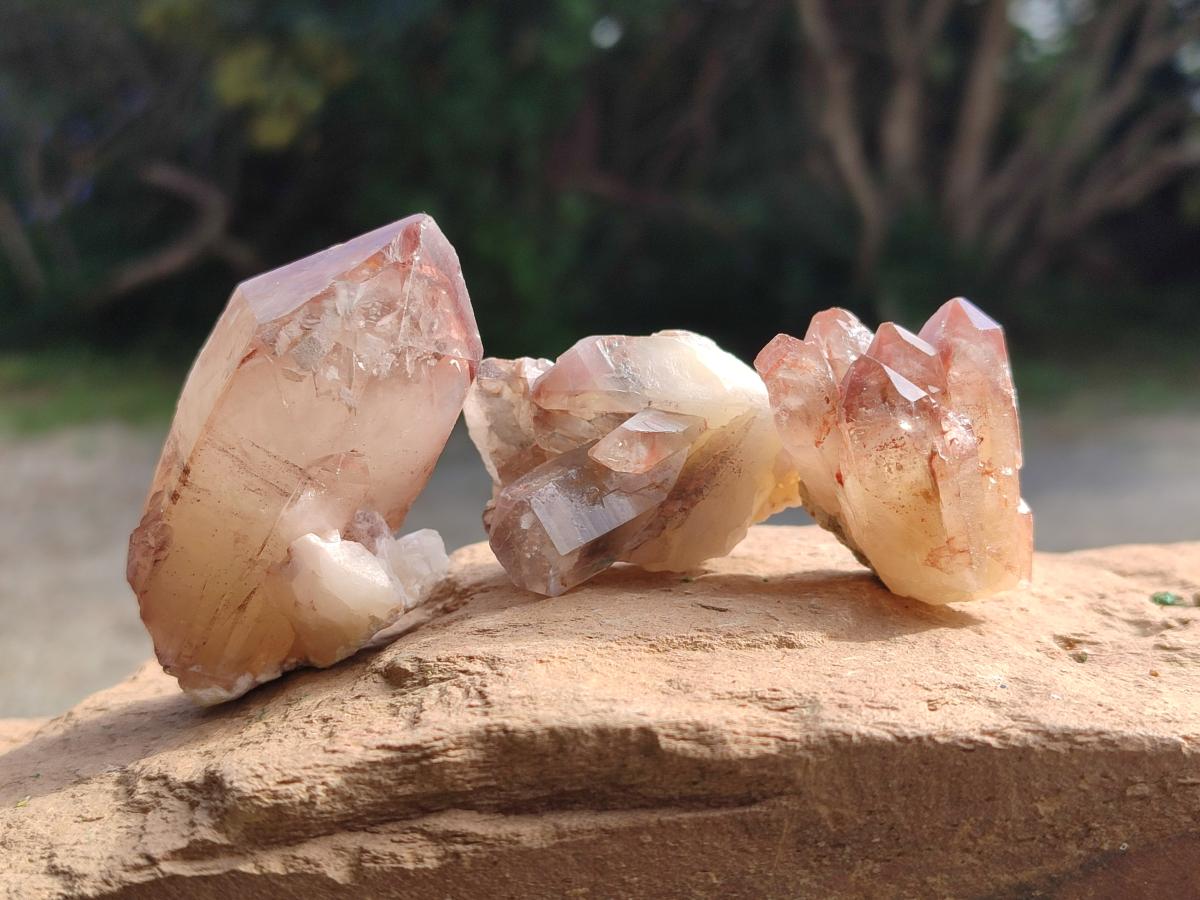 Natural Red Hematoid Quartz Crystals and Clusters x 35 From Karoi, Zimbabwe - Toprock Gemstones and Minerals 