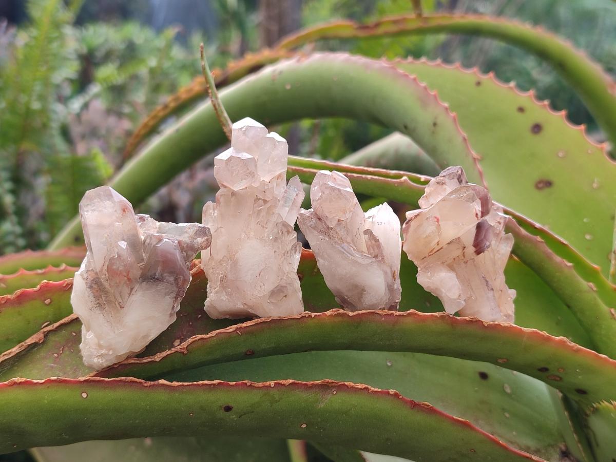 Natural Red Hematoid Quartz Crystals and Clusters x 35 From Karoi, Zimbabwe - Toprock Gemstones and Minerals 