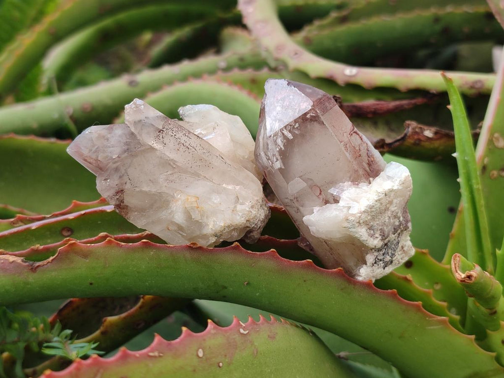 Natural Red Hematoid Quartz Crystals and Clusters x 35 From Karoi, Zimbabwe - Toprock Gemstones and Minerals 