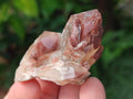 Natural Red Hematoid Quartz Crystals and Clusters x 35 From Karoi, Zimbabwe - Toprock Gemstones and Minerals 