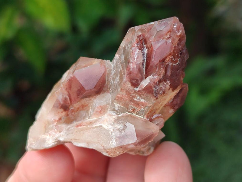 Natural Red Hematoid Quartz Crystals and Clusters x 35 From Karoi, Zimbabwe - Toprock Gemstones and Minerals 