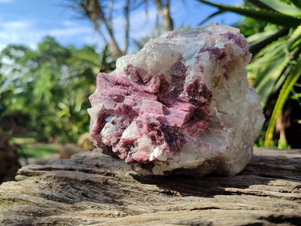 Natural Pink Rubellite Tourmaline Specimens x 2 From Karibib, Namibia - Toprock Gemstones and Minerals 