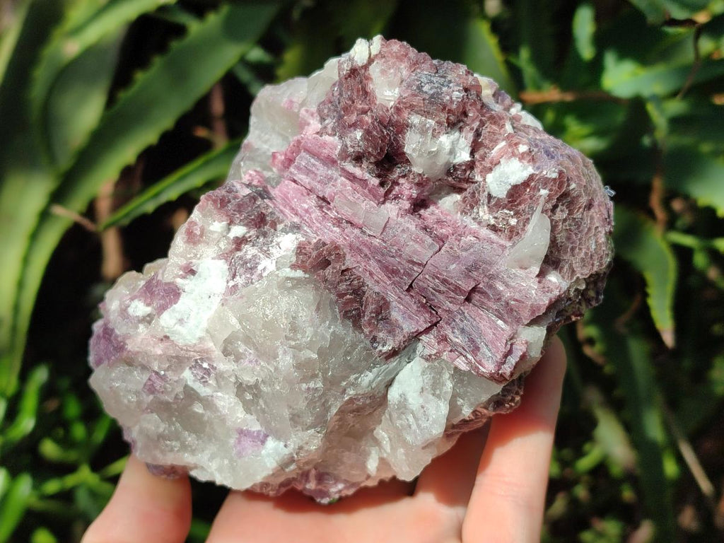 Natural Pink Rubellite Tourmaline Specimens x 2 From Karibib, Namibia - Toprock Gemstones and Minerals 