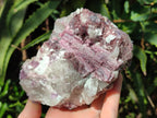 Natural Pink Rubellite Tourmaline Specimens x 2 From Karibib, Namibia - Toprock Gemstones and Minerals 