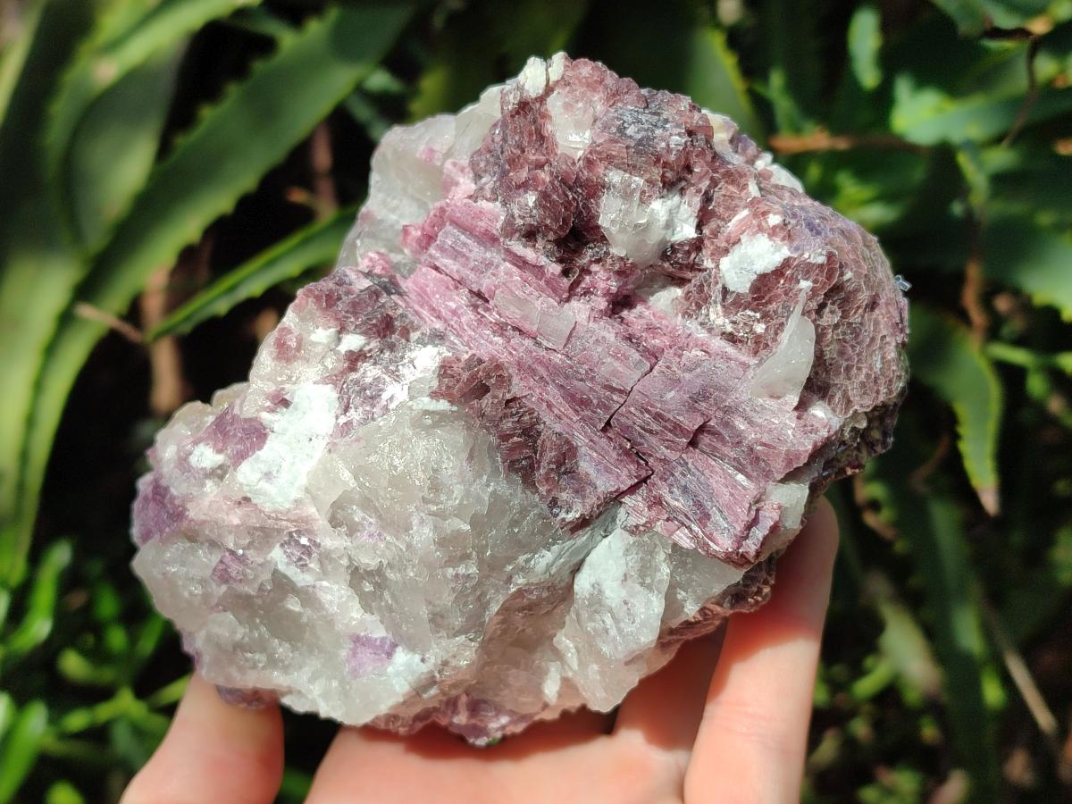 Natural Pink Rubellite Tourmaline Specimens x 2 From Karibib, Namibia - Toprock Gemstones and Minerals 