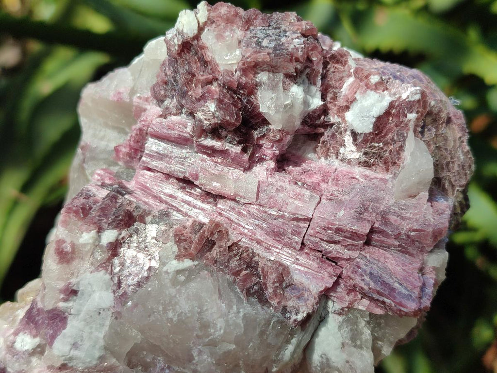 Natural Pink Rubellite Tourmaline Specimens x 2 From Karibib, Namibia - Toprock Gemstones and Minerals 