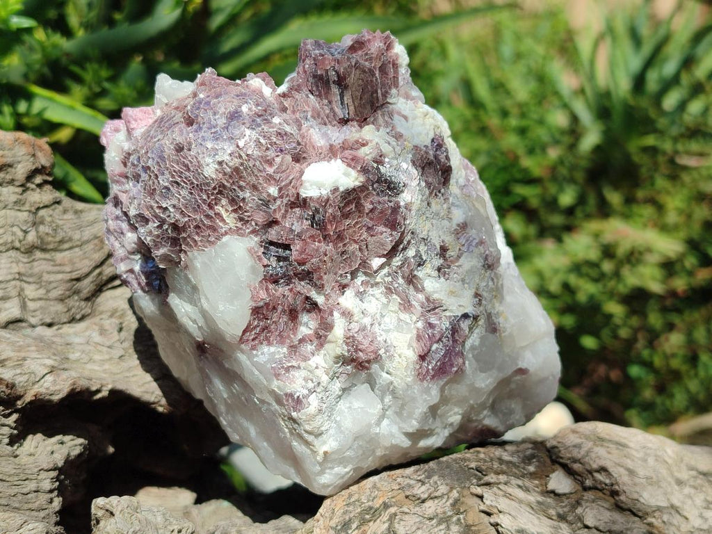 Natural Pink Rubellite Tourmaline Specimens x 2 From Karibib, Namibia - Toprock Gemstones and Minerals 