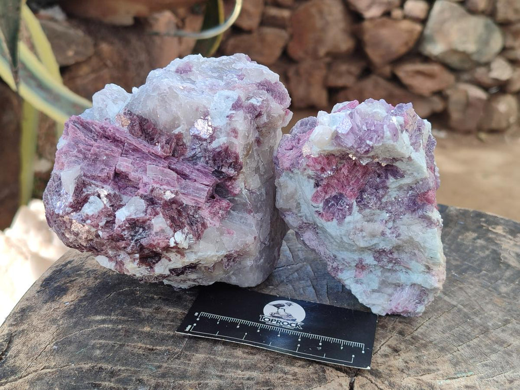 Natural Pink Rubellite Tourmaline Specimens x 2 From Karibib, Namibia - Toprock Gemstones and Minerals 