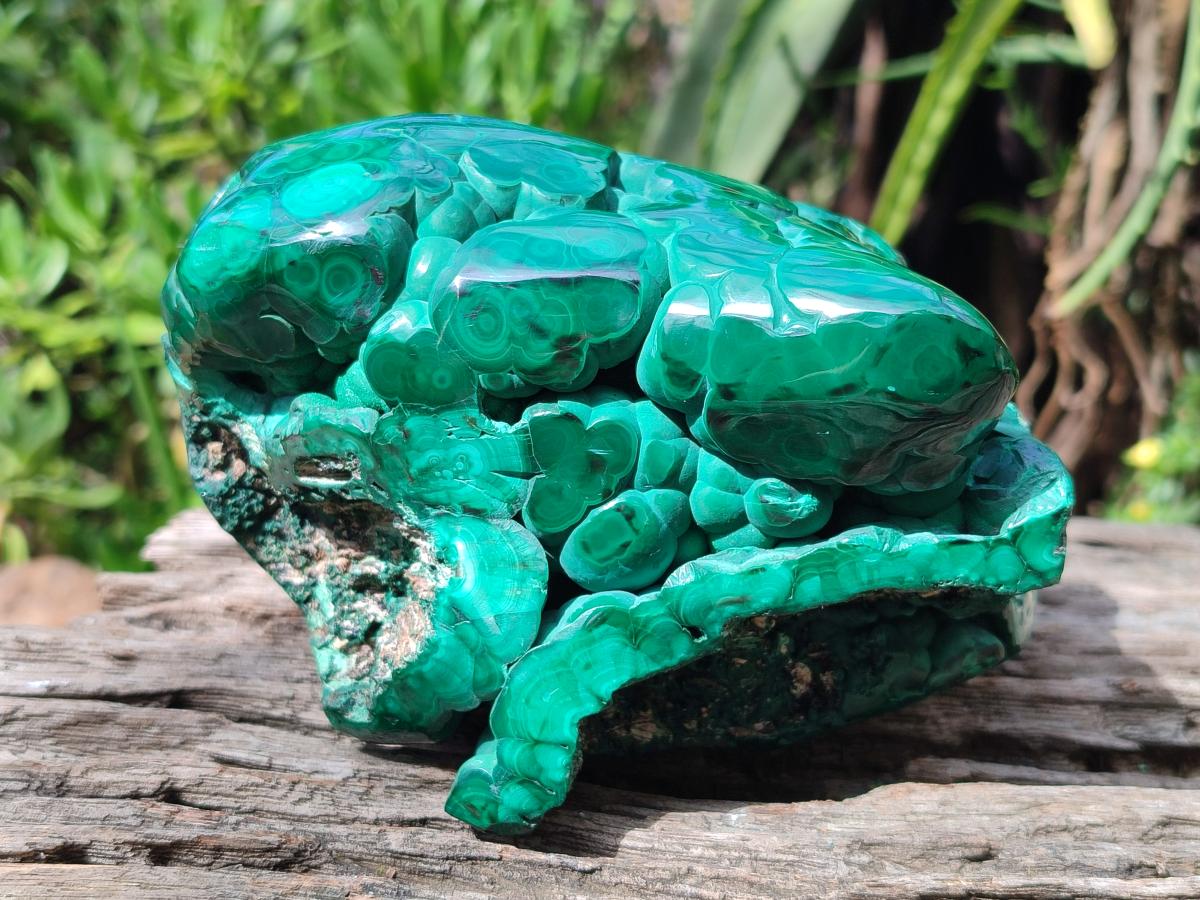 Polished Botryoidal Malachite Specimen x 1 From Congo - Toprock Gemstones and Minerals 