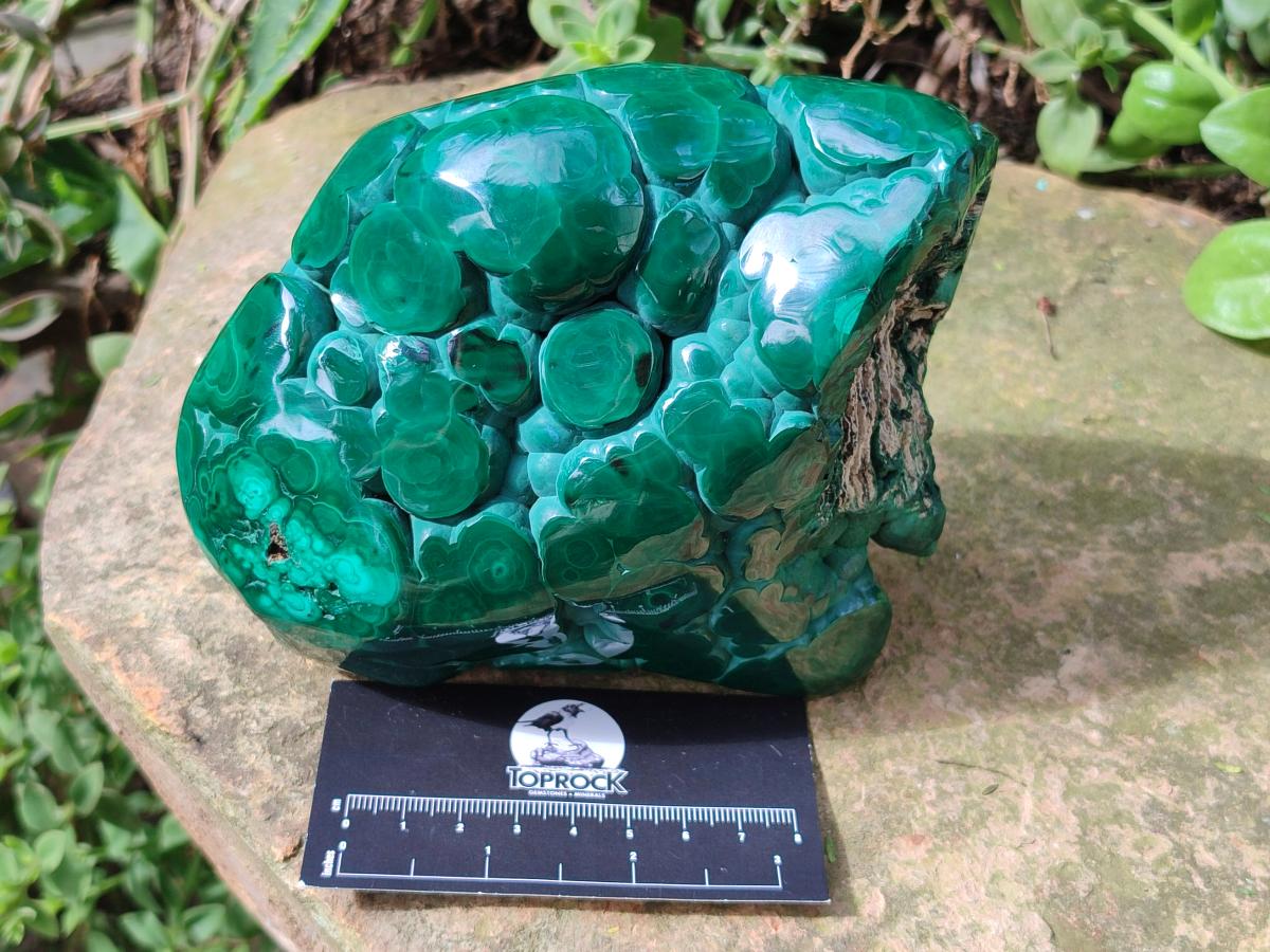 Polished Botryoidal Malachite Specimen x 1 From Congo - Toprock Gemstones and Minerals 