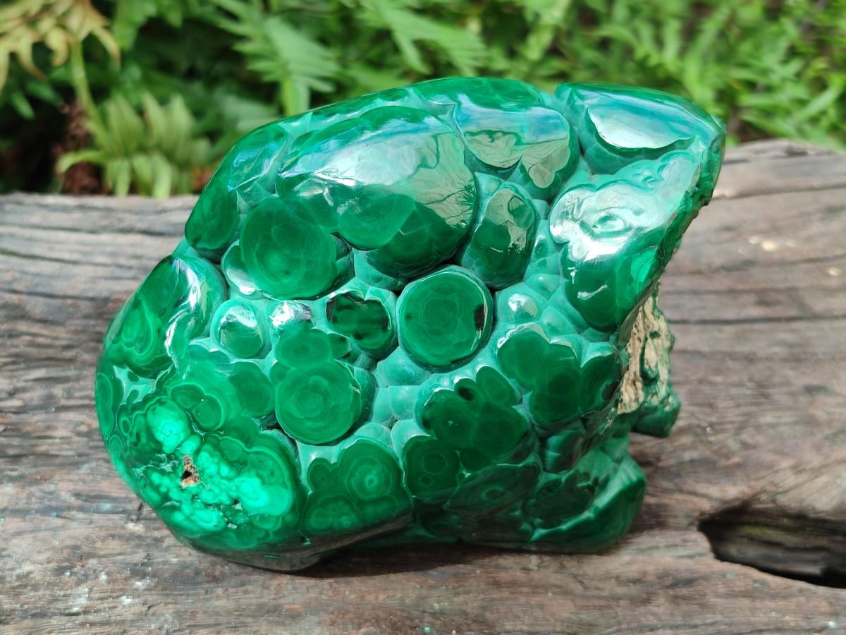 Polished Botryoidal Malachite Specimen x 1 From Congo - Toprock Gemstones and Minerals 