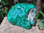 Polished Botryoidal Malachite Specimen x 1 From Congo - Toprock Gemstones and Minerals 