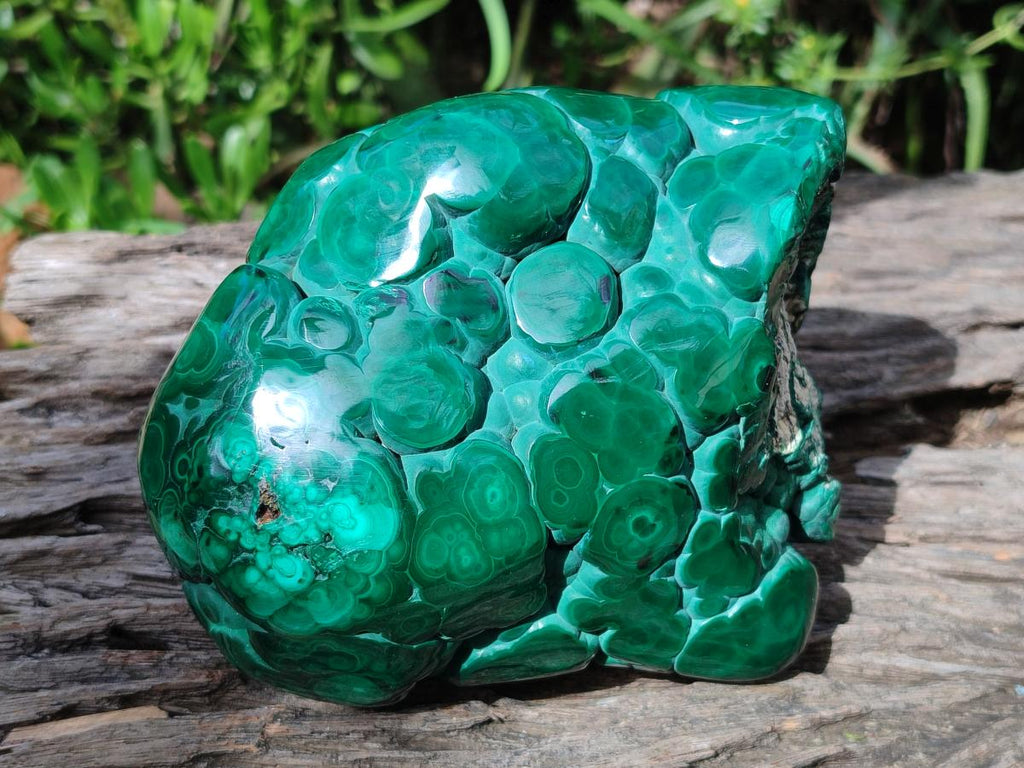 Polished Botryoidal Malachite Specimen x 1 From Congo - Toprock Gemstones and Minerals 