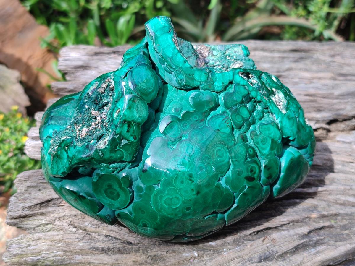 Polished Botryoidal Malachite Specimen x 1 From Congo - Toprock Gemstones and Minerals 