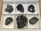 Natural Schorl Black Tourmaline Specimens x 6 From Erongo, Namibia - Toprock Gemstones and Minerals 