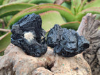 Natural Schorl Black Tourmaline Specimens x 6 From Erongo, Namibia - Toprock Gemstones and Minerals 