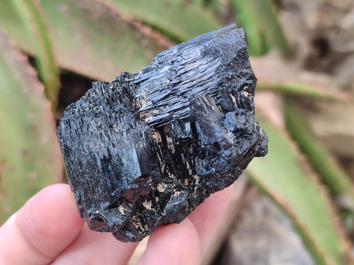 Natural Schorl Black Tourmaline Specimens x 6 From Erongo, Namibia - Toprock Gemstones and Minerals 