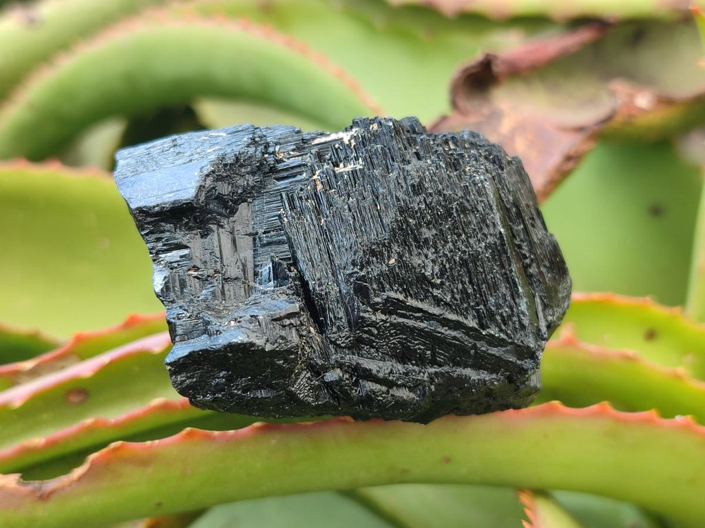 Natural Schorl Black Tourmaline Specimens x 6 From Erongo, Namibia - Toprock Gemstones and Minerals 