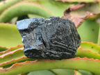 Natural Schorl Black Tourmaline Specimens x 6 From Erongo, Namibia - Toprock Gemstones and Minerals 