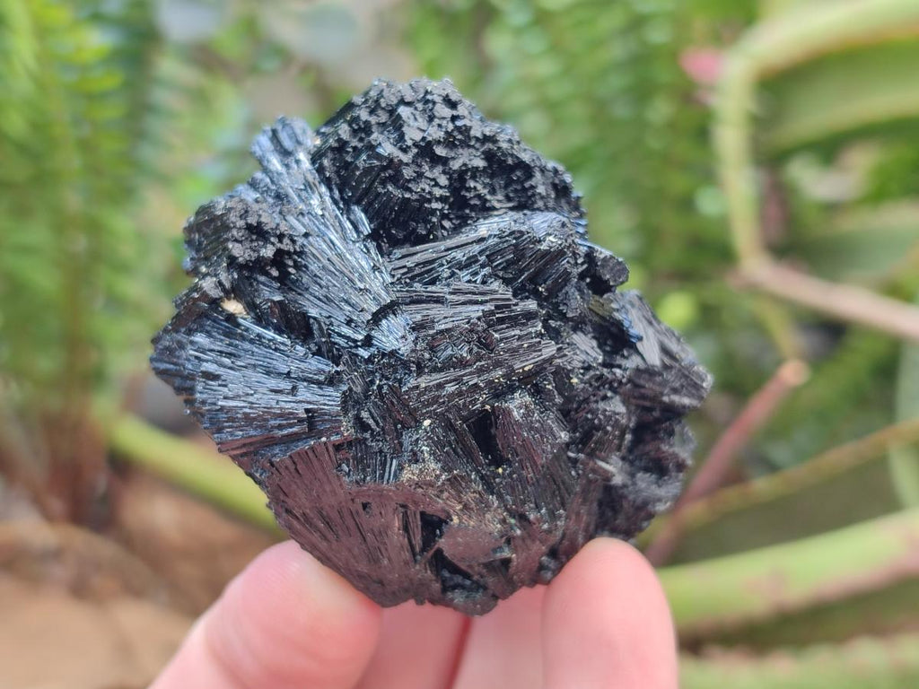 Natural Schorl Black Tourmaline Specimens x 6 From Erongo, Namibia - Toprock Gemstones and Minerals 