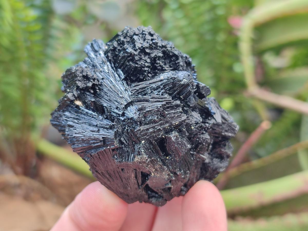 Natural Schorl Black Tourmaline Specimens x 6 From Erongo, Namibia - Toprock Gemstones and Minerals 
