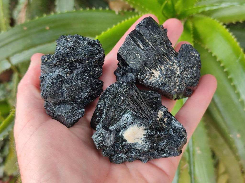 Natural Schorl Black Tourmaline Specimens x 6 From Erongo, Namibia - Toprock Gemstones and Minerals 