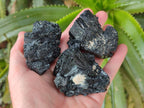 Natural Schorl Black Tourmaline Specimens x 6 From Erongo, Namibia - Toprock Gemstones and Minerals 