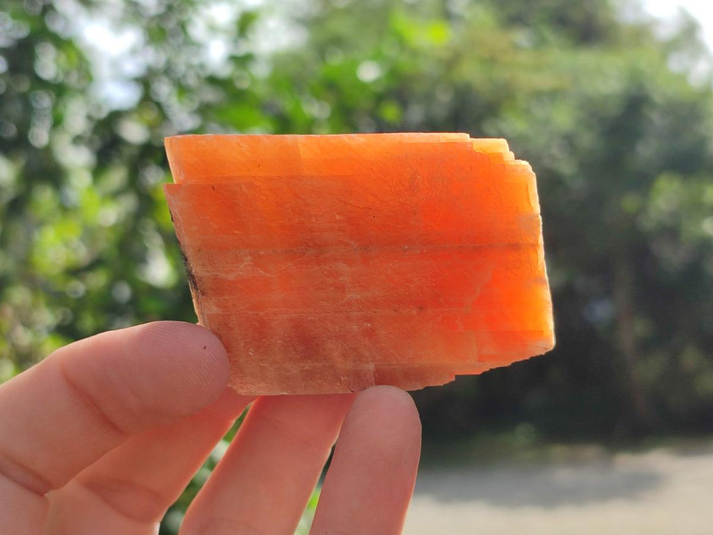Natural Rhombohedral Sunset Orange Calcite Specimens x 24 From Spitzkop, Namibia - Toprock Gemstones and Minerals 